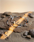 Spike necklace with metal and wood element